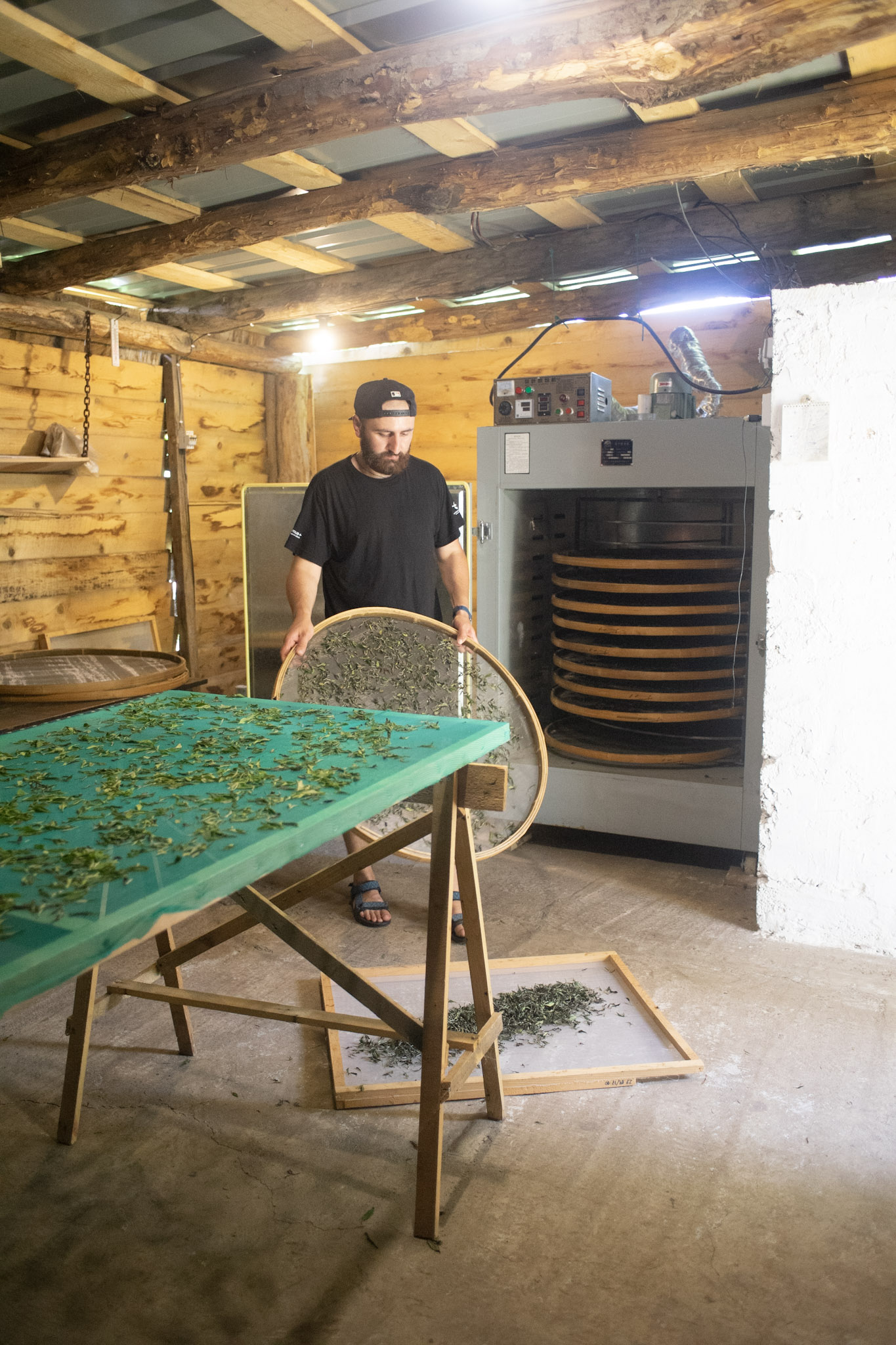 Tornike Shekiladze makes tea in his factory in Gezruli, Imereti Tornike Shekiladze makes tea in his factory in Gezruli, Imereti