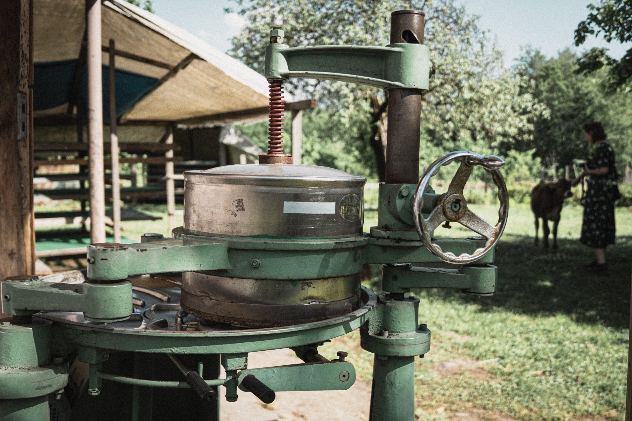 Vintage Tea Roller A vintage tea roller machine with a green frame and metal components in a rural setting.