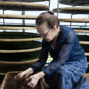 Nargiza Ghvinjilia sorting dried tea leaves in a bamboo basket with drying racks in the background.
