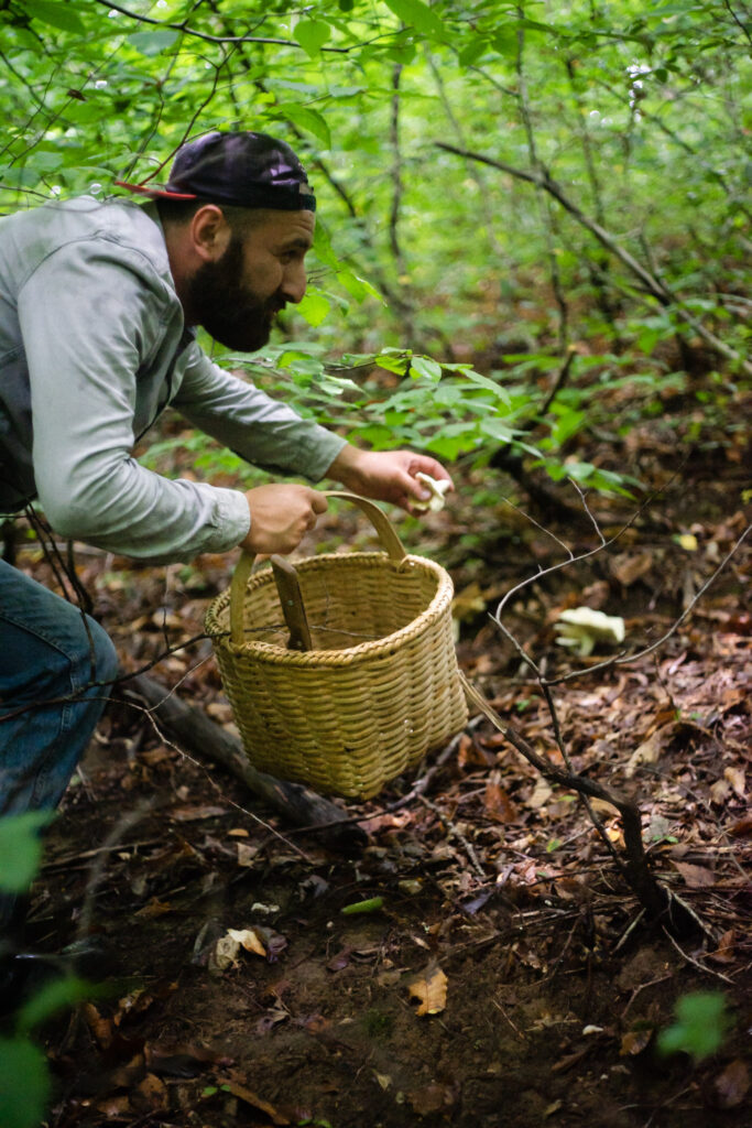 Man with a beard wearing a cap, crouching and holding a woven basket in a forested area.