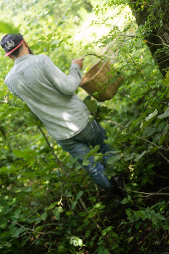 Tornike wearing a hat and carrying a basket while foraging in a dense forest area.