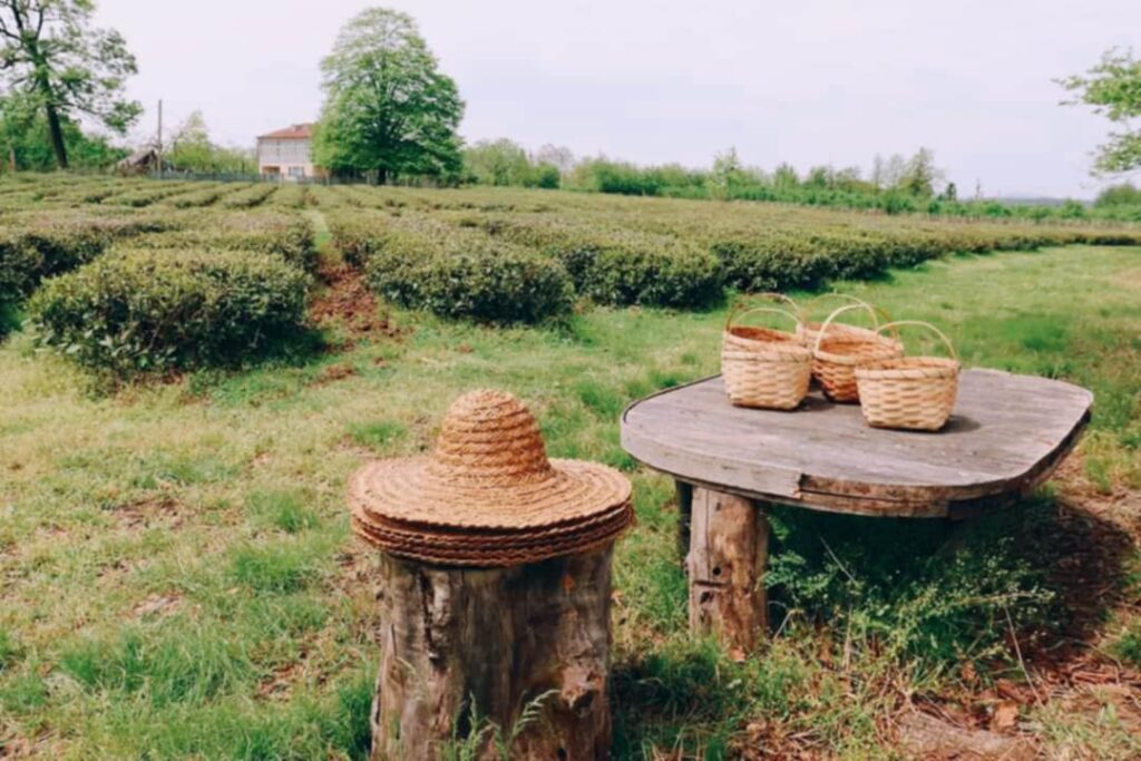 Woven straw hat placed on a wooden table next to several wicker baskets in a grassy area.