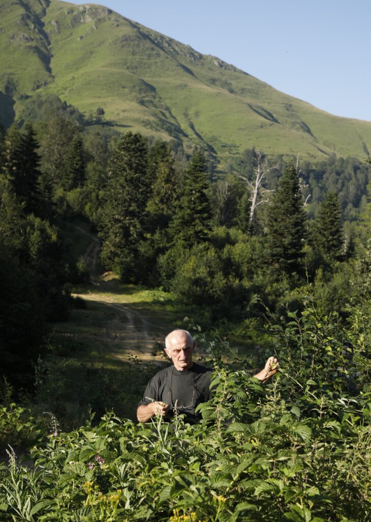 Man standing among bushes in a green landscape with mountains in the background.