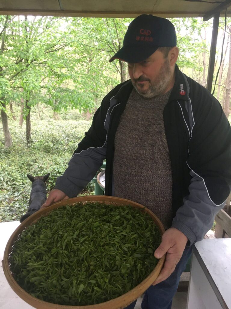 Grigol with a basket of freshly picked leaf