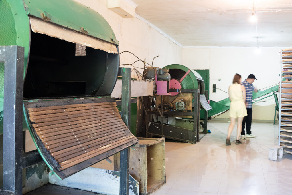 Shemokmedi tea factory with dryers and withering machine