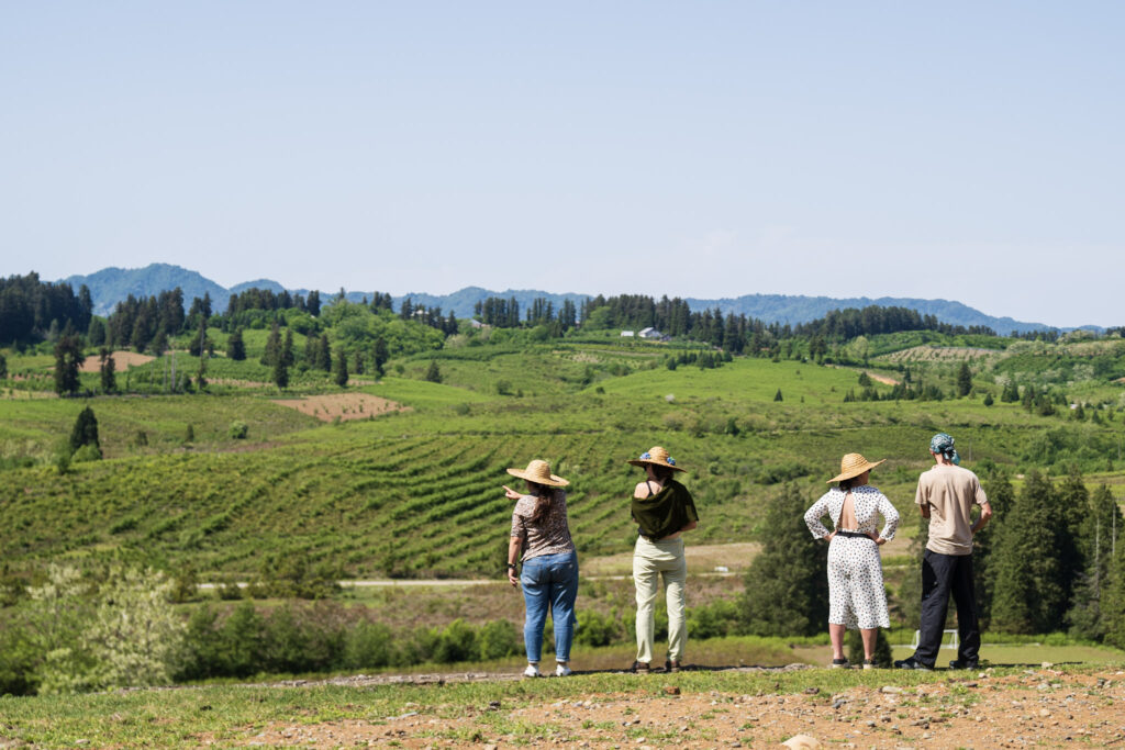 Four individuals wearing straw hats standing on a hillside overlooking a tea plantation
