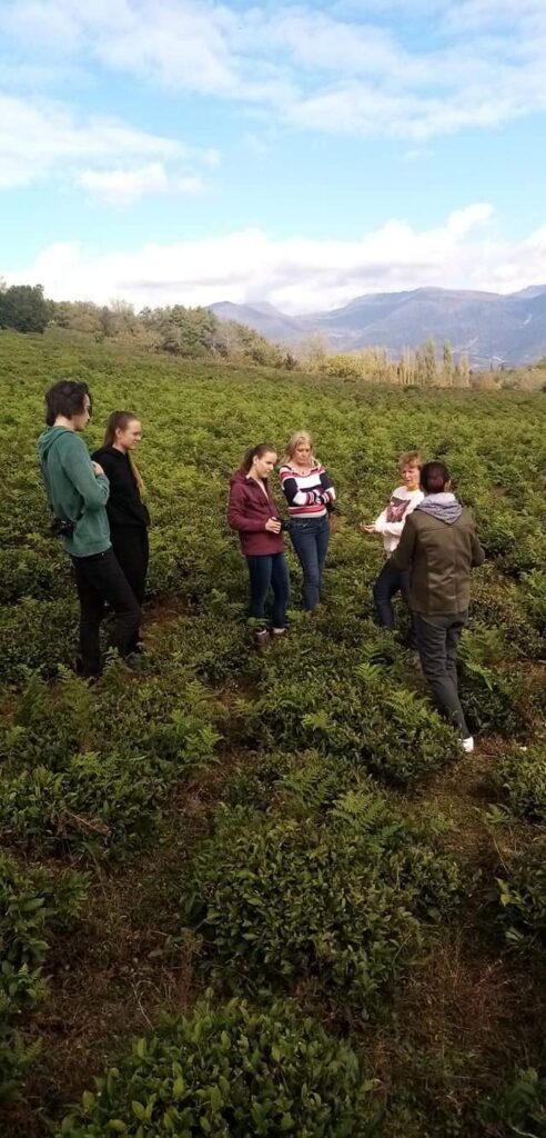 Group of visitors interacting with a guide in a tea plantation in Martvili.