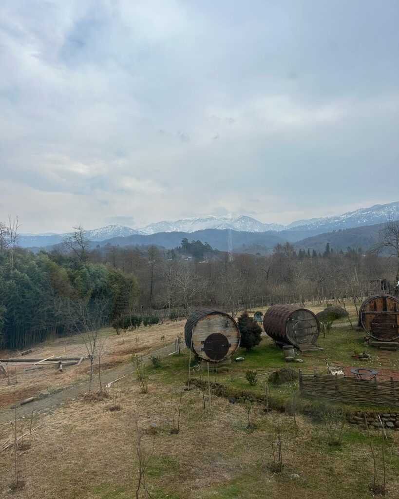 The Diogenes barrels, guest accommodation at Komli's glamping