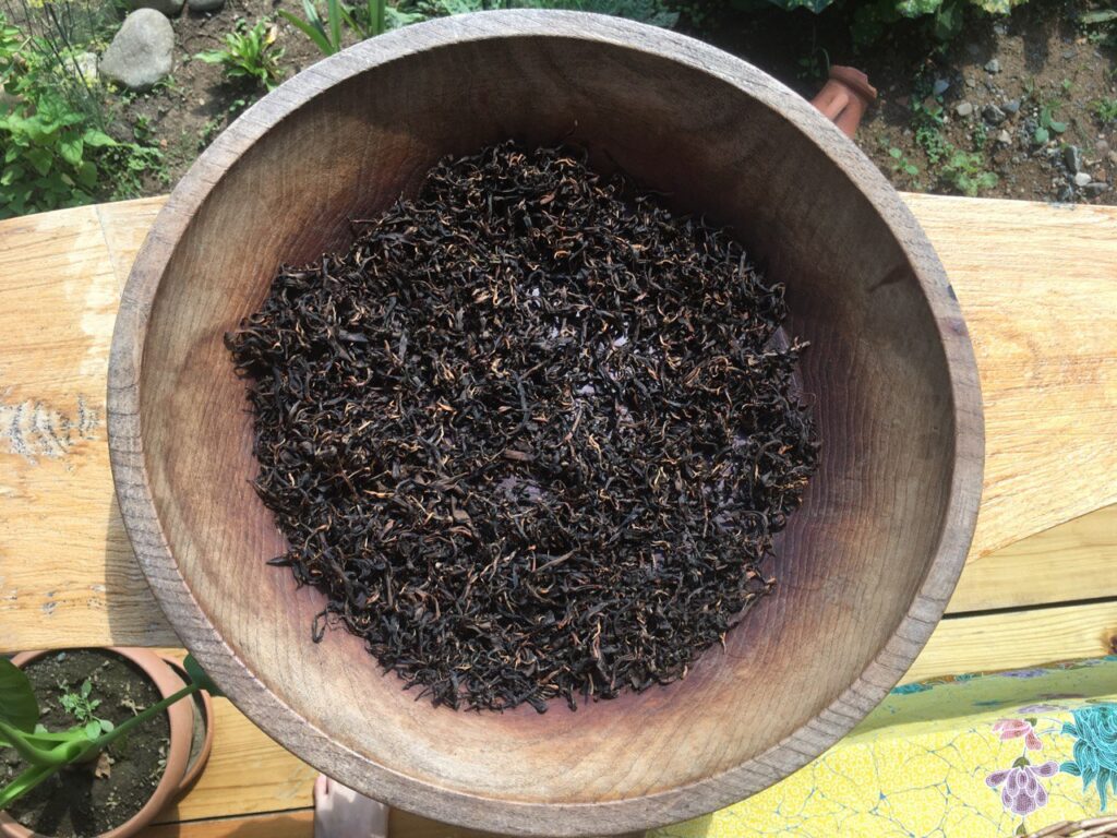Making Black Tea by Hand the Traditional Way