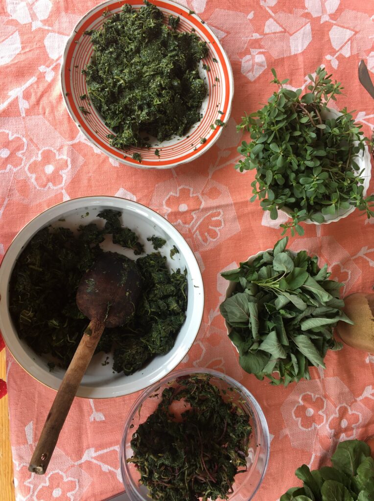 Preparing pkhali from wild herbs, a Gurian specialty