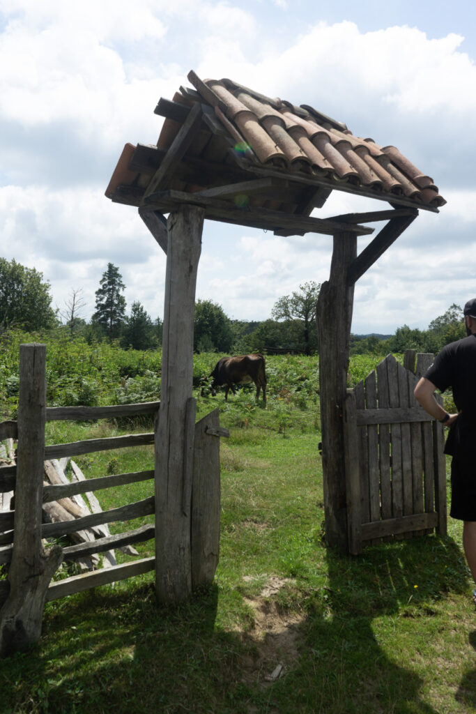 Koba's property has a traditional Imeretian-style gate