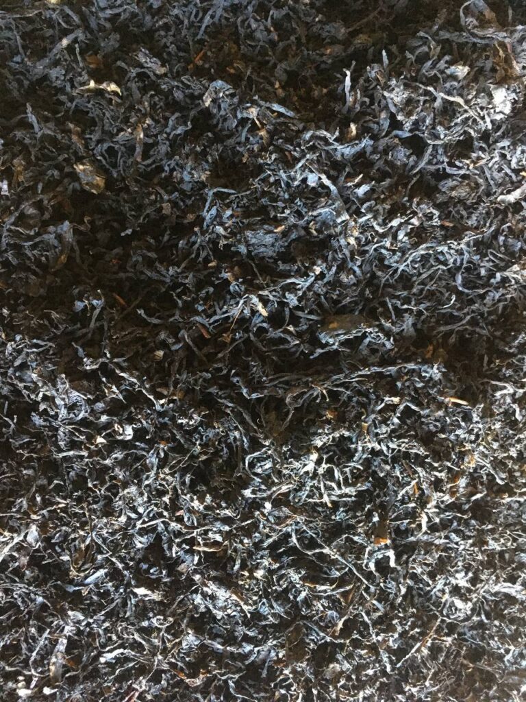 Blueberry leaf tea from Koba Shekiladze