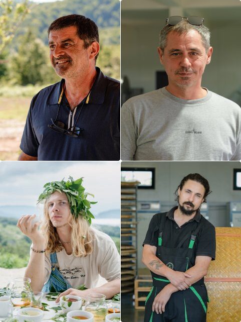 Zemo Tea Gardens team: Levan, Iura, Georgii, Sasha