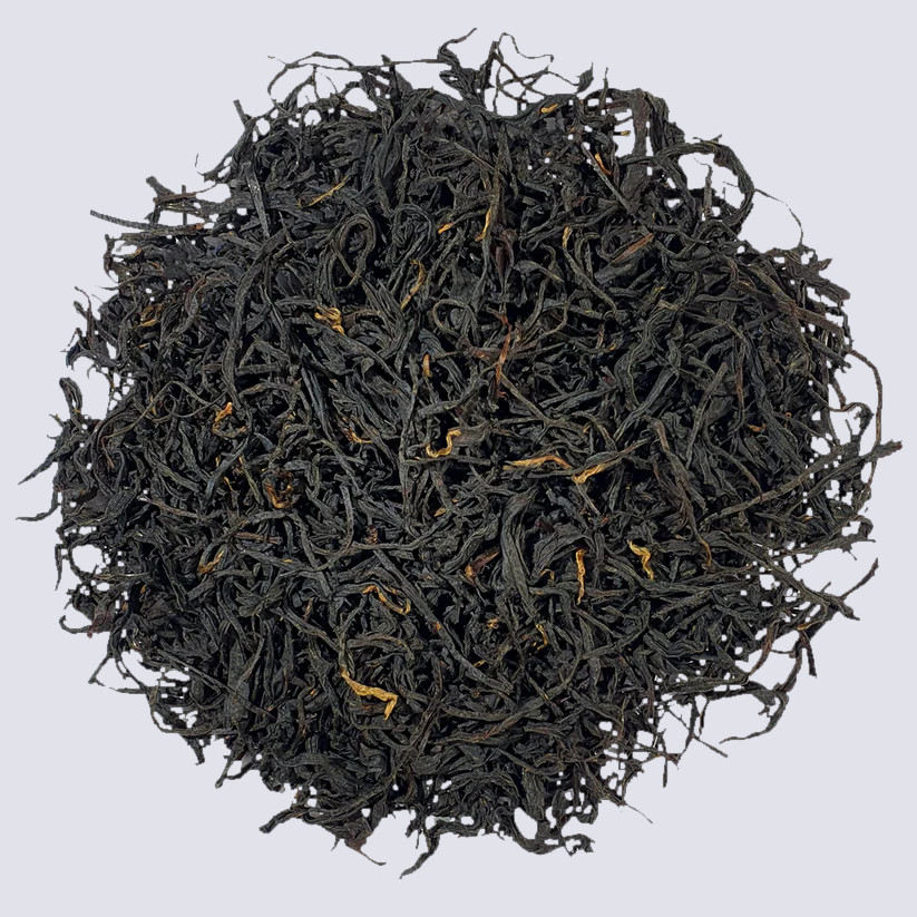 Kolkhida black tea leaves, loose and twisted dried tea from Georgia, dark wisps with golden tips, high-quality artisanal tea sample